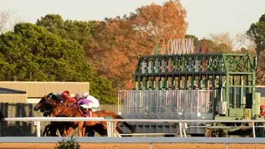 Francisco Arrieta por las selectivas en Oaklawn Park Francisco Arrieta por las selectivas en Oaklawn Park