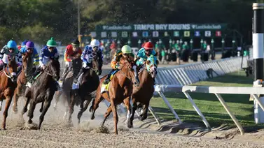 Dueños de la pista: El nombre de Venezuela retumbó en Tampa Bay Downs este viernes Dueños de la pista: El nombre de Venezuela retumbó en Tampa Bay Downs este viernes