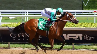 ¡Imparable! El entrenador venezolano Jorge Delgado triunfa con Mythical en el Any Limit Stakes de Florida ¡Imparable! El entrenador venezolano Jorge Delgado triunfa con Mythical en el Any Limit Stakes de Florida