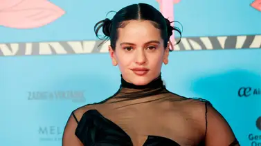 Rosalía se excusa por sus opinión sobre Picasso: “No tenía consciencia” Rosalía se excusa por sus opinión sobre Picasso: “No tenía consciencia”