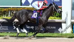 Bentornato ya está en Meydan: El campeón de D’Angelo busca la gloria en la World Cup