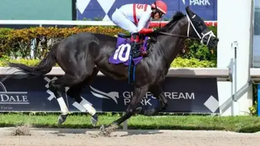 Bentornato ya está en Meydan: El campeón de D’Angelo busca la gloria en la World Cup Bentornato ya está en Meydan: El campeón de D’Angelo busca la gloria en la World Cup