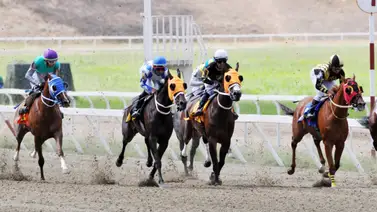 Así quedaron los resultados del domingo en La Rinconada 15-03-2026 Así quedaron los resultados del domingo en La Rinconada 15-03-2026