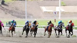 Mire lo que le pasó a la yegua Nikitis este domingo en el Clásico Eduardo Larrazabal GIII