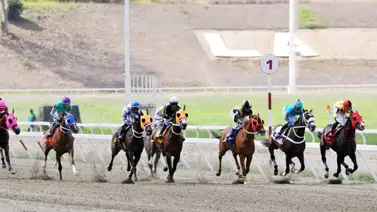 Mire lo que le pasó a la yegua Nikitis este domingo en el Clásico Eduardo Larrazabal GIII Mire lo que le pasó a la yegua Nikitis este domingo en el Clásico Eduardo Larrazabal GIII