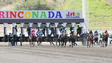 Comisarios del INH multan a dos entrenadores de La Rinconada por este motivo Comisarios del INH multan a dos entrenadores de La Rinconada por este motivo