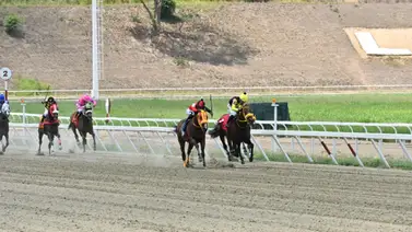 Comisarios del INH multa a jockey campeón de meeting por esta razón Comisarios del INH multa a jockey campeón de meeting por esta razón