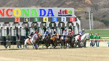 Conoce lo que informó Robert Capriles sobre Tiz Erin que corrió en el 5y6 Conoce lo que informó Robert Capriles sobre Tiz Erin que corrió en el 5y6