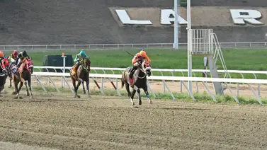 Esto fue lo que dijo el jockey Francisco Quevedo a los comisarios sobre Río Bravo Esto fue lo que dijo el jockey Francisco Quevedo a los comisarios sobre Río Bravo