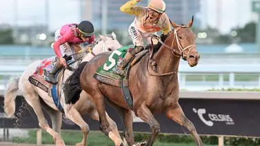 Skippylongstocking listo para conquistar el Essex Handicap G3 el sábado en Oaklawn Park Skippylongstocking listo para conquistar el Essex Handicap G3 el sábado en Oaklawn Park