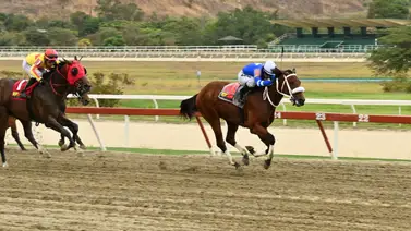 Vuelve un nombre de peso: La Rinconada recibe de nuevo a un ejemplar de concepto superior Vuelve un nombre de peso: La Rinconada recibe de nuevo a un ejemplar de concepto superior