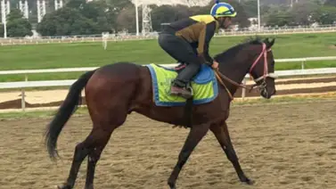 Un origen de élite en tierras del sur engalana la jornada 13 en La Rinconada Un origen de élite en tierras del sur engalana la jornada 13 en La Rinconada