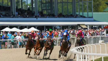 El actual monopolio de los jinetes venezolanos en la estadística de Tampa Bay Downs El actual monopolio de los jinetes venezolanos en la estadística de Tampa Bay Downs