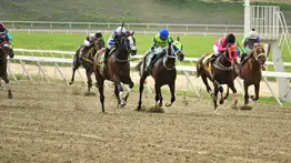 ¿Milagro en la cuarta? Conoce el ejemplar que desafía los números tras dos retiros seguidos en La Rinconada