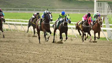 ¿Milagro en la cuarta? Conoce el ejemplar que desafía los números tras dos retiros seguidos en La Rinconada ¿Milagro en la cuarta? Conoce el ejemplar que desafía los números tras dos retiros seguidos en La Rinconada