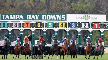 Pronósticos Tampa Bay Downs: Picks gratis y el Dato Clave para el miércoles 17 de marzo Pronósticos Tampa Bay Downs: Picks gratis y el Dato Clave para el miércoles 17 de marzo