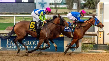 Kentucky Oaks: Bella Ballerina se juega el invicto este sábado camino a la carrera de los Lirios antes seis rivales Kentucky Oaks: Bella Ballerina se juega el invicto este sábado camino a la carrera de los Lirios antes seis rivales