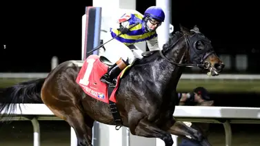 Kentucky Oaks: Resplendence lista para llevarse los $300 mil del Bourbonette Oaks en Turfway Park Kentucky Oaks: Resplendence lista para llevarse los $300 mil del Bourbonette Oaks en Turfway Park