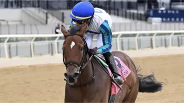 El "Rey de Nueva Jersey" no cede su corona: Book’em Danno arrasa en los premios estatales El "Rey de Nueva Jersey" no cede su corona: Book’em Danno arrasa en los premios estatales