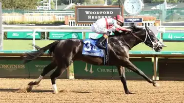 El galope de la gloria no se detiene: Mira como trabajó Bentornato de José Francisco D’Angelo en Meydan a pesar del conflicto regional El galope de la gloria no se detiene: Mira como trabajó Bentornato de José Francisco D’Angelo en Meydan a pesar del conflicto regional