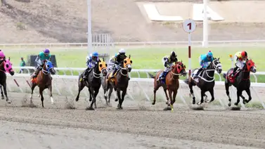 Reaparece luego de 182 días, yegua que fue dada como favorita en las no válidas en su debut Reaparece luego de 182 días, yegua que fue dada como favorita en las no válidas en su debut