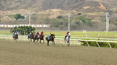 Ramón García Mosquera vuelve a la pista a hija del líder semental en victorias del actual meeting Ramón García Mosquera vuelve a la pista a hija del líder semental en victorias del actual meeting