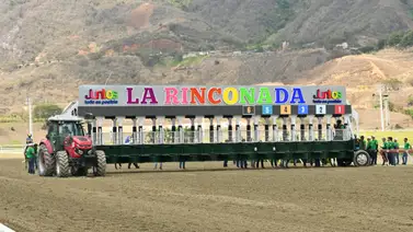 Retiro de la R13: Conozca por qué este ejemplar no correrá para el ciclo no válido Retiro de la R13: Conozca por qué este ejemplar no correrá para el ciclo no válido