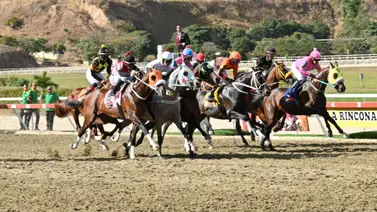 Prohibido olvidarlo: El purasangre con mejor video surge como el enemigo de la línea en el 5y6 Prohibido olvidarlo: El purasangre con mejor video surge como el enemigo de la línea en el 5y6