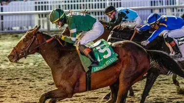 ¡Agarren dato! Mira la reveladora confesión sobre Golden Tempo que salta como favorito para el Louisiana Derby G2 ¡Agarren dato! Mira la reveladora confesión sobre Golden Tempo que salta como favorito para el Louisiana Derby G2