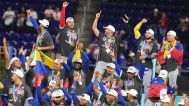 Así se distribuyen los Campeones Mundiales en los equipos de la LVBP Así se distribuyen los Campeones Mundiales en los equipos de la LVBP