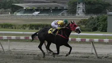 La dinastía de King Seraf toma por asalto la quinta válida de La Rinconada La dinastía de King Seraf toma por asalto la quinta válida de La Rinconada