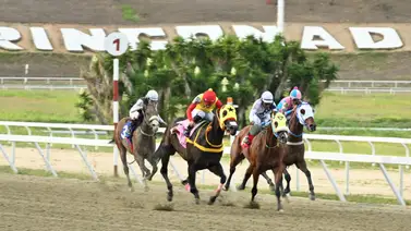 Ejemplar que tiene más de un año sin ganar, vuelve a la pista luego de 154 días sin competir Ejemplar que tiene más de un año sin ganar, vuelve a la pista luego de 154 días sin competir