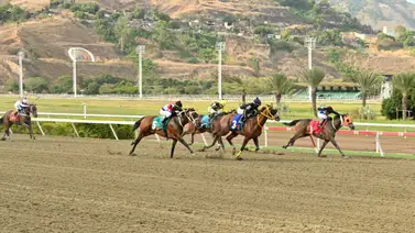 Tras 182 días de espera, el nieto de Águila Negra buscará honrar su pedigrí en la pista Tras 182 días de espera, el nieto de Águila Negra buscará honrar su pedigrí en la pista