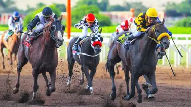 Power Arepa: Yunta criolla no deja para nadie y consiguen doblete ganador en este hipódromo en Estados Unidos Power Arepa: Yunta criolla no deja para nadie y consiguen doblete ganador en este hipódromo en Estados Unidos