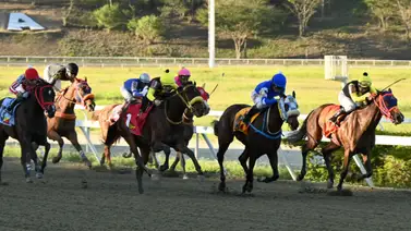 Gaceta Hípica no deja dudas: Así quedó el cómodo ajuste de la gran opción previo al debut en el 5y6 dominical Gaceta Hípica no deja dudas: Así quedó el cómodo ajuste de la gran opción previo al debut en el 5y6 dominical