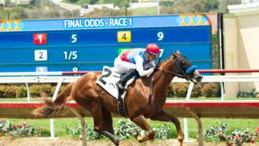 Bob Baffert tratará de que Buetane participe en el Kentucky Derby G1 a través del Wood Memorial Stakes G2 Bob Baffert tratará de que Buetane participe en el Kentucky Derby G1 a través del Wood Memorial Stakes G2