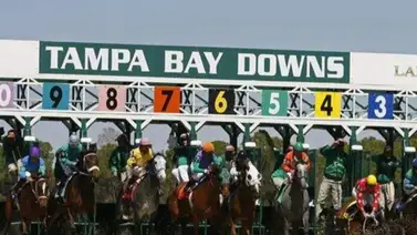 Pronósticos Tampa Bay Downs: Picks gratis y el Dato Clave para el viernes 20 de marzo Pronósticos Tampa Bay Downs: Picks gratis y el Dato Clave para el viernes 20 de marzo