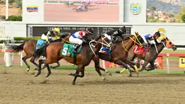 Aquí tienes una opción diferente de Rozagante y Hollywood que podría pagar un buen dividendo