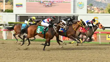 Aquí tienes una opción diferente de Rozagante y Hollywood que podría pagar un buen dividendo Aquí tienes una opción diferente de Rozagante y Hollywood que podría pagar un buen dividendo