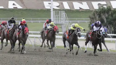 ¿Qué dicen los números? Estos son los ejemplares con el mejor Rating a la hora de sellar el 5y6 de la R13 ¿Qué dicen los números? Estos son los ejemplares con el mejor Rating a la hora de sellar el 5y6 de la R13