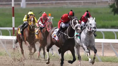 A esta hora: Descubre los ejemplares con más "fuerza" y la jugada larga para multiplicar en la R13 de La Rinconada A esta hora: Descubre los ejemplares con más "fuerza" y la jugada larga para multiplicar en la R13 de La Rinconada