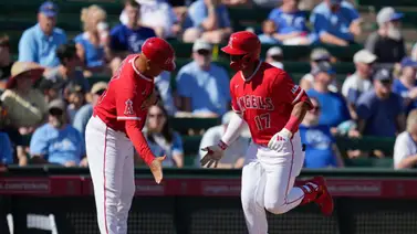 MLB: Esta es la cantidad de venezolanos que siguen en el Spring Training 2026 MLB: Esta es la cantidad de venezolanos que siguen en el Spring Training 2026