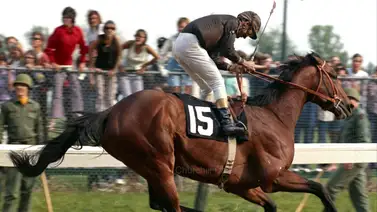 Exclusiva: ¿Qué opina el jinete de Cañonero II sobre el título de Venezuela en el Clásico Mundial de Béisbol? Exclusiva: ¿Qué opina el jinete de Cañonero II sobre el título de Venezuela en el Clásico Mundial de Béisbol?