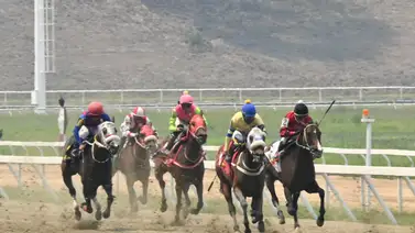 Conoce el ejemplar con que esta yunta puede salir de perdedor y convertirse en tremendo batacazo para la carrera no válida Conoce el ejemplar con que esta yunta puede salir de perdedor y convertirse en tremendo batacazo para la carrera no válida