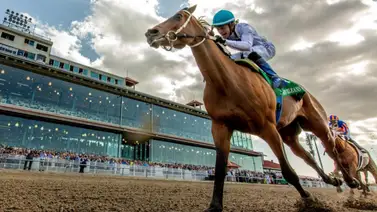 Luce como imperdible: Este ejemplar regresa listo para su triunfo 21 en el New Orleans Classic G2 por $500,000 en Fair Grounds Luce como imperdible: Este ejemplar regresa listo para su triunfo 21 en el New Orleans Classic G2 por $500,000 en Fair Grounds