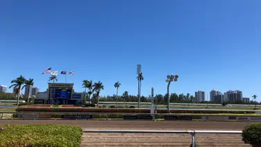 El Gran Final: el Championship Meet cierra la próxima semana con el festival del Florida Derby Day en Gulfstream Park El Gran Final: el Championship Meet cierra la próxima semana con el festival del Florida Derby Day en Gulfstream Park