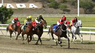 Lo que la estadística revela: El dato curioso detrás de la primera carrera que se ha disputado en La Rinconada Lo que la estadística revela: El dato curioso detrás de la primera carrera que se ha disputado en La Rinconada