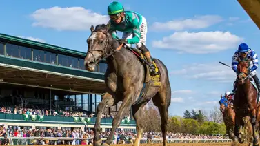 ¿Quieres un ejemplar fijo para la jornada del sábado en Gulfstream Park? No busques más, porque éste representa el “Dato Clave” ¿Quieres un ejemplar fijo para la jornada del sábado en Gulfstream Park? No busques más, porque éste representa el “Dato Clave”