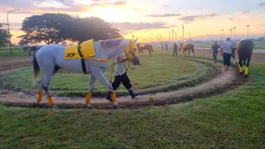 Movimientos en Hinava: Así queda la tercera válida tras el retiro de la yegua de este entrenador profesional Movimientos en Hinava: Así queda la tercera válida tras el retiro de la yegua de este entrenador profesional