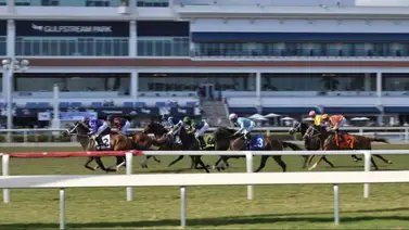 Por segundo día seguido Gulfstream Park no tendrá carreras en está pista Por segundo día seguido Gulfstream Park no tendrá carreras en está pista